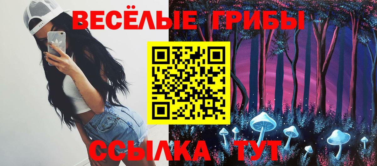 Галлюциногенные грибы мицелий Новодвинск