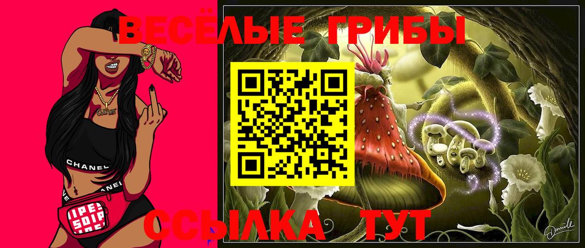 Галлюциногенные грибы MAGIC MUSHROOMS  Вход с VPN  Новодвинск 